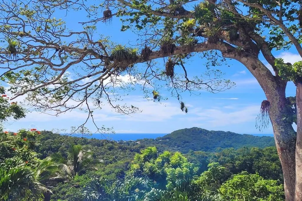 A Perle De Vue - Appartement De Charme Piscine & Spa Avec Vues Mer & Foret Deshaies 0*,  Guadeloupe