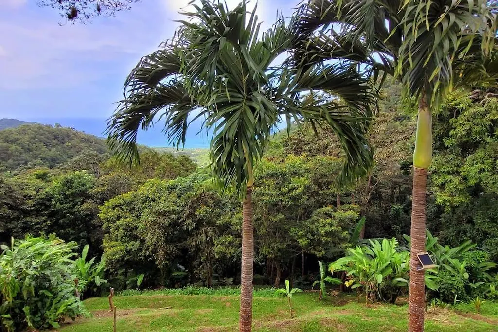 A Perle De Vue - Appartement De Charme Piscine & Spa Avec Vues Mer & Foret Deshaies Guadeloupe